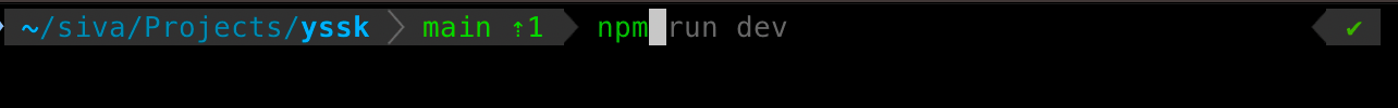 Zsh autosuggestions showing a previously used npm command while typing